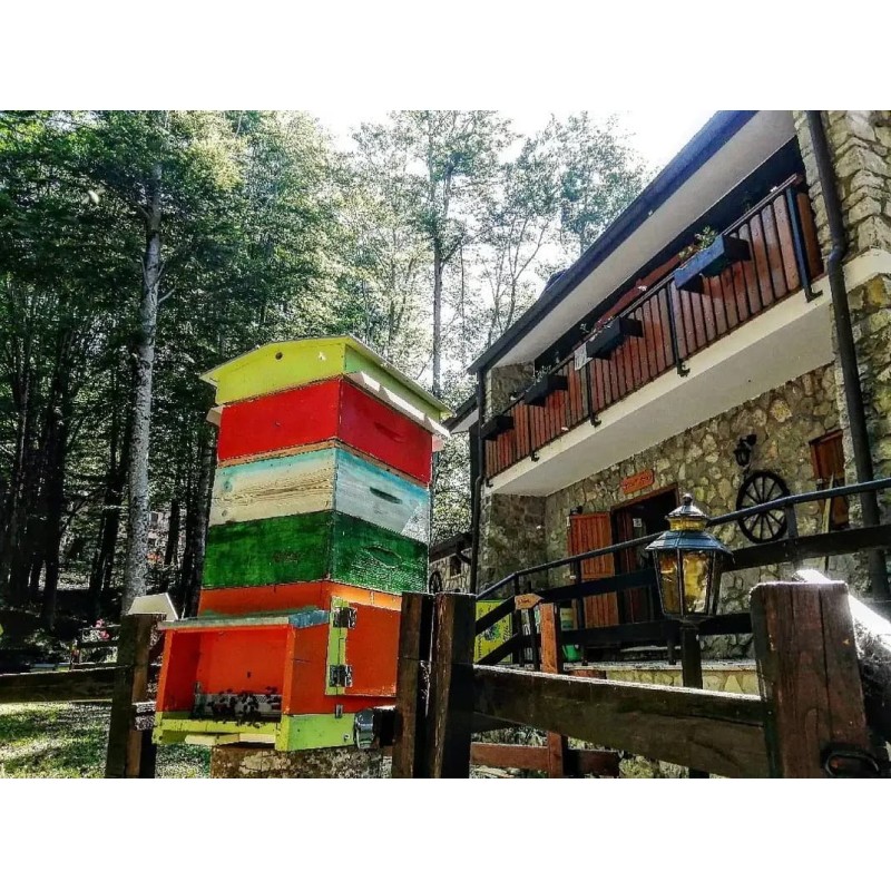 Avventura nella Fattoria delle api