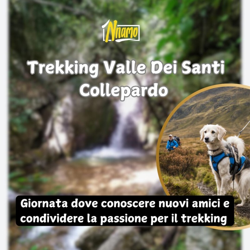 Dog Trekking Collepardo – Valle dei Santi 